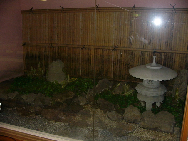 P1030508.JPG