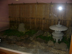 P1030508.JPG