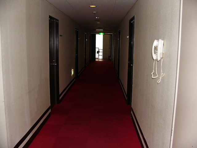 P1030528.JPG