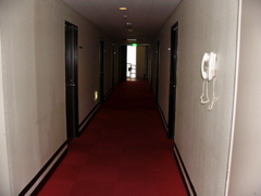 P1030528.JPG