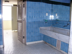 P1030529.JPG