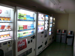 P1030530.JPG