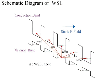 Nonlinear Optical Responses of Semiconductor Wannier-Stark Ladder