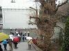 IMG_2758.JPG 1,381KB 2272x1704