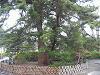 IMG_2760.JPG 1,836KB 2272x1704