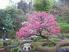 IMG_2775.JPG 2,021KB 2272x1704