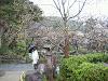 IMG_2780.JPG 1,812KB 2272x1704