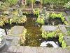 IMG_2783.JPG 1,695KB 2272x1704