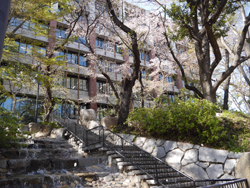 Tokyo Campus 2