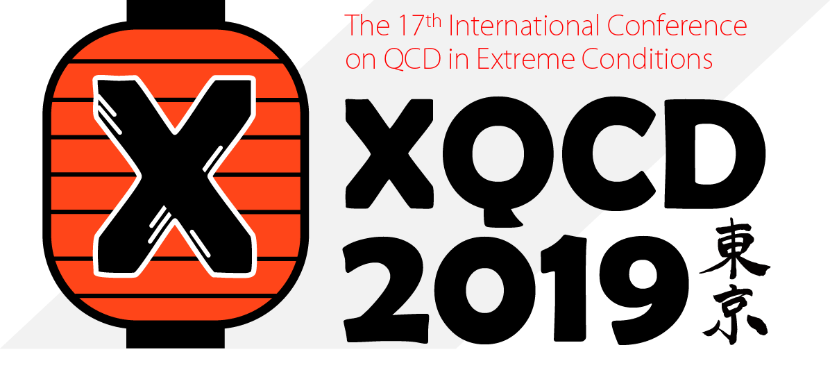 XQCD2019 logo